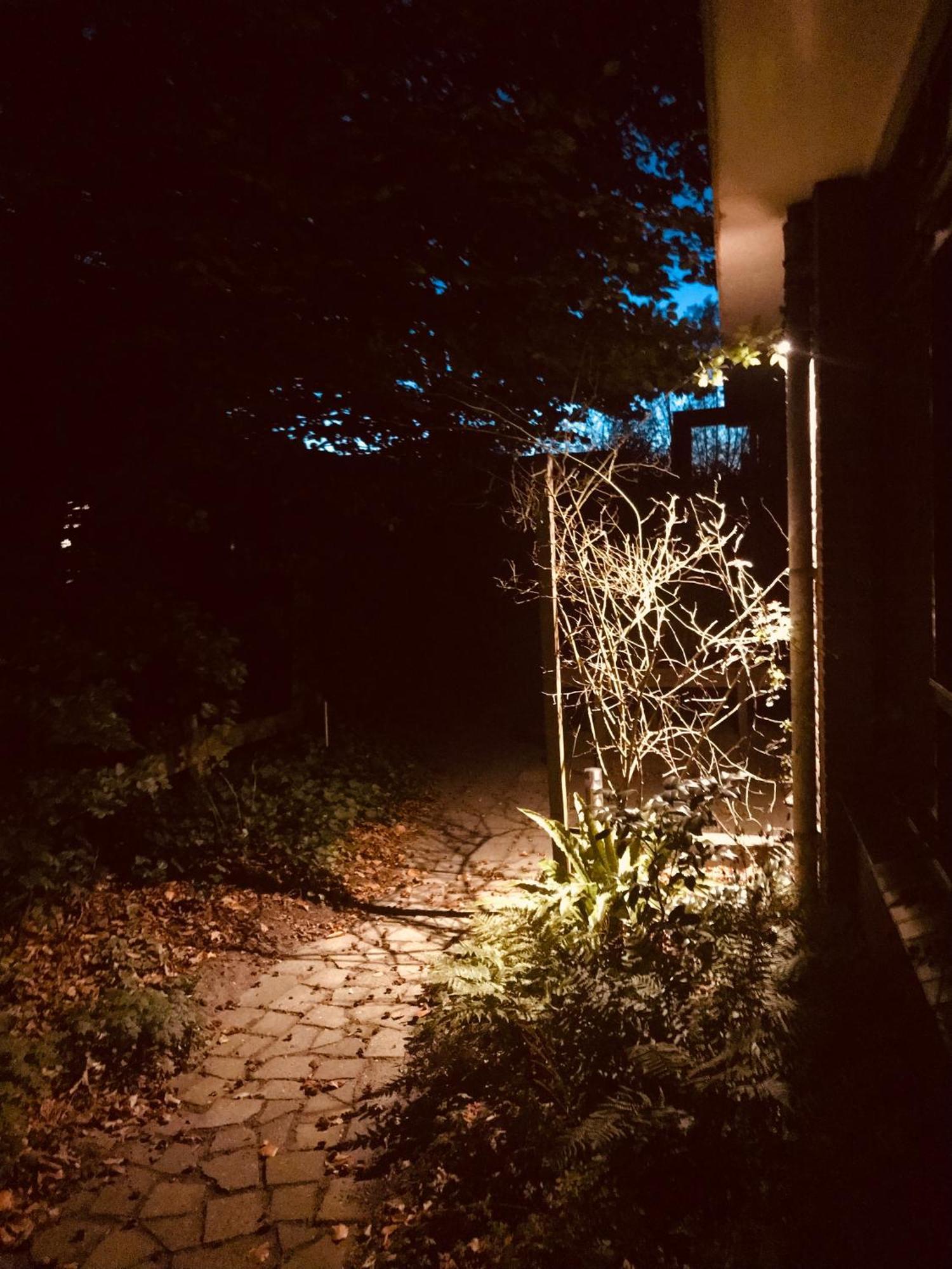 De Rietnymf Apartman Munnekeburen Kültér fotó